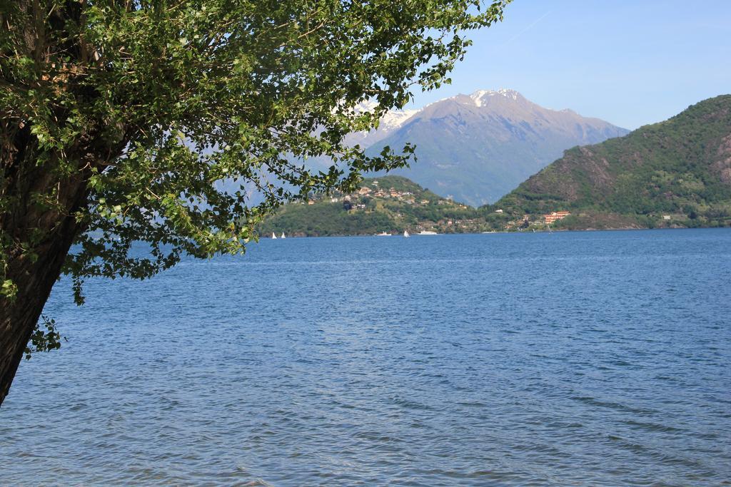 Veranda Beach Apartment Pianello Del Lario الغرفة الصورة