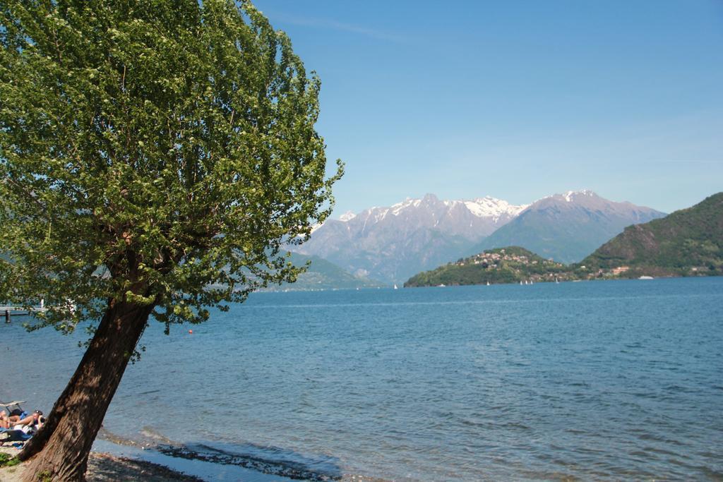 Veranda Beach Apartment Pianello Del Lario الغرفة الصورة